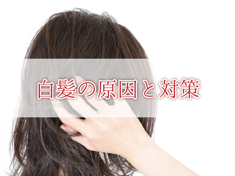 フォードヘア化粧品　HM リンプルTXクリーム 送料無料 ミアンビューティー ハーブマジック HM リンプルTX