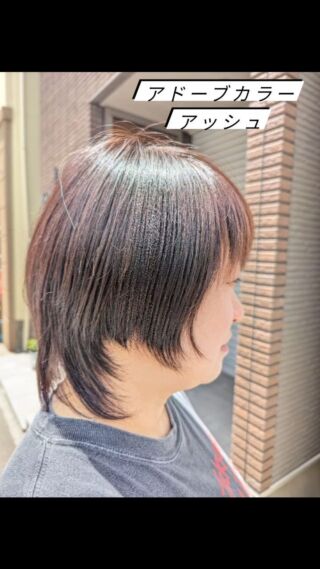 【新アドーブカラー　アッシュ】
kirana初✨✨外で撮影❣️

ハーブカラーの新カラー【アドーブ】
めちゃくちゃいいです

色の幅が広がり
手触りめちゃくちゃいいです

さらにハーブカラーファン増えそう❣️✨✨

❖ー―――――――――――――――❖

@kirana5121
プロフィールから
ホットペッパービューティーにて
ご予約受付中
kiranaのことが知りたい方
公式ライン登録または
kirana HPのブログをチェック🤞

❖ー―――――――――――――――❖

【kiranaはトータルビューティー
メンテナンス美容院】

kiranaは東洋医学の考えで
髪を捉えます

身体と髪は繋がっていると
考えます

身体の疲れが髪の老化を
招きます

身体の健康＝髪の健康
になります

kiranaで美髪のメゾット
を行っていると

身体も健康になります

身体が元気になり
5歳若見えする自分になれたら
嬉しくないですか?

諦めなくても大丈夫
やれることはあるんです

どうぞ相談しにいらして下さいね

安心してお任せ下さいませ😊

❖❖❖❖❖❖❖❖❖❖❖❖❖❖❖❖❖❖❖

@kirana5121
プロフィールから
ホットペッパービューティー→予約
公式ライン登録→予約
kirana HP→予約

どちらも可能です

❖❖❖❖❖❖❖❖❖❖❖❖❖❖❖❖❖❖❖

頭皮や髪の悩みに
頭皮カメラを使った
頭皮診断を実施中

頭皮を見れば
あなたの身体や心の状態がわかります

ケアーの仕方や
良くなり方のスピードもわかります

誰でもできる
見た目年齢若返りメゾット
始めませんか?

❖❖❖❖❖❖❖❖❖❖❖❖❖❖❖❖❖❖

老化のサインがきたら
ひどくならないうちに
予防するのが大事!!

これ以上白髪を増やさないためにも
未来の髪の毛のためにも

❖❖❖❖❖❖❖❖❖❖❖❖❖❖❖❖❖❖

できる事

①カラー剤を見直す

しみる
痛い
痒い
匂いがイヤ
髪の傷みがすごい

刺激のあるカラー剤は
やめましょう

頭皮がカサカサになってしまいます

②頭皮を保湿しましょう

頭皮用化粧水をつかうか
頭皮洗浄するか
頭皮にも
お顔のように
水分を補給してあげて
下さいね

髪の老化はメンテナンスをしなければ
必ず起こる現象

私はメンテナンスをすれば
最大−10歳は若くなれると思います

なりたい髪型を手に入れることができたら

どんな事が手に入りますか？

・自信がもてる
・出かけたくなる
・ストレスがへる
・おしゃれか楽しめる
・人から褒めてもらえる

まだまだありますね

あなたも想像してみて下さいね😊

❖❖❖❖❖❖❖❖❖❖❖❖❖❖❖❖❖❖❖❖

#予防美容サロンkirana 
#予防美容サロンキラーナ
 #キラーナ#明石市大久保kirana 
#明石大久保薄毛
 #明石大久保美容院
#kirana
#50代白髪明石美容院
#50代美容院
#60代美容院